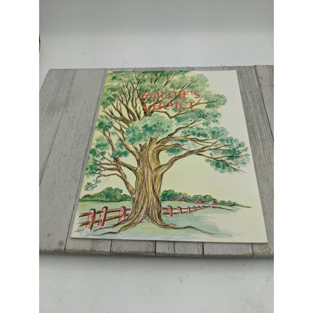 Goldie's Choice Illustrated Gospel Story Lithographed Bible Story